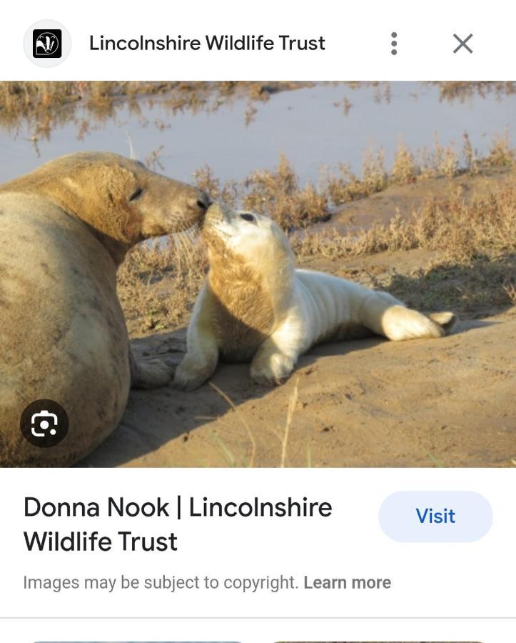 The Annex Theddlethorpe Lincolnshire Βίλα Εξωτερικό φωτογραφία